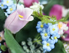 vrouw met bloemenkrans